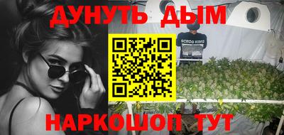 мдпв Протвино