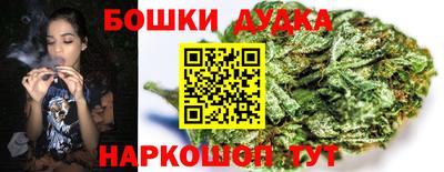 мдпв Протвино