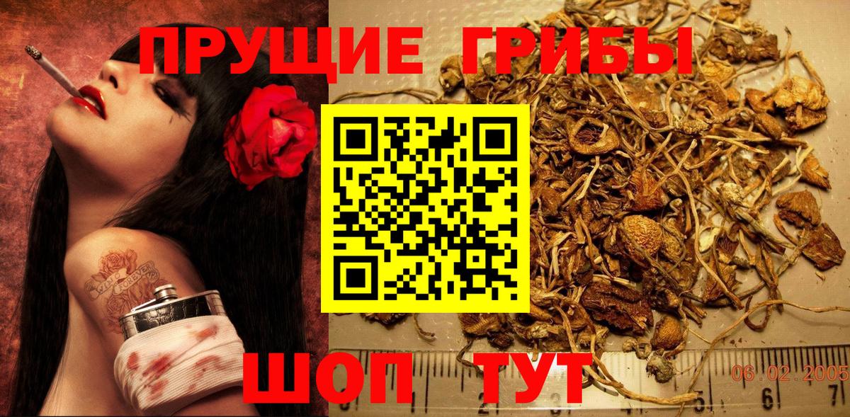 Галлюциногенные грибы MAGIC MUSHROOMS  Вход с VPN  Благодарный 